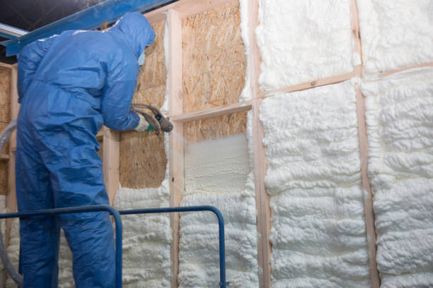 Trusted Dorr, MI Insulation Services Experts